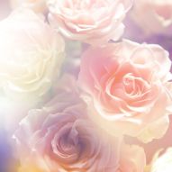 Фреска Нежные розовые розы