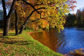 Фреска Осень и озеро