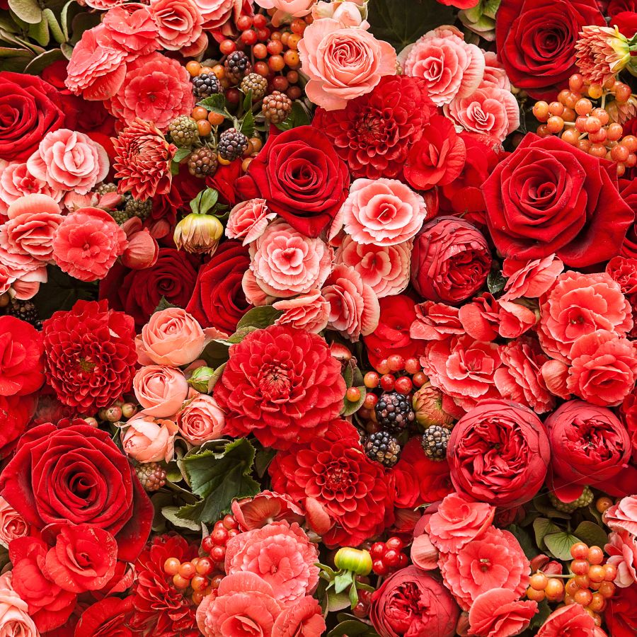 Фотообои Яркие красные цветы и ягоды