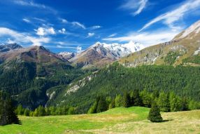 Фреска Альпийские луга