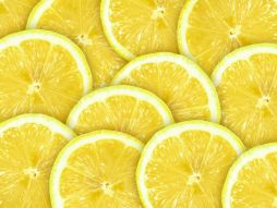 Фреска Кружочки лимона