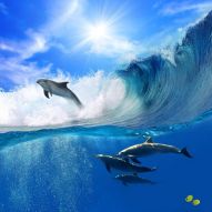 Фреска Дельфины выпрыгивает из воды