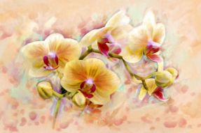 Фотообои Картина желтые орхидеи