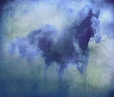 Фреска призрачная лошадь в синих тонах