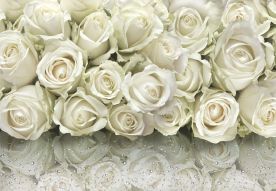 Фреска 3D стена из белых роз