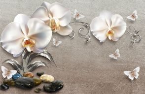 Фотообои 3D Белые орхидеи на фоне стены