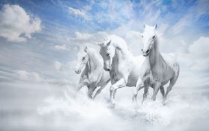 Фреска Белые кони