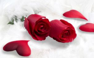 Фреска Красные розы