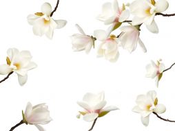 Фреска Белые цветы