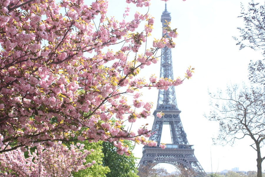 Фреска Весна в Париже