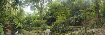 Фреска Тропический сад