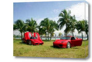 Картина Красные машины Феррари на фоне пальм