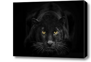 Картина черная пантера